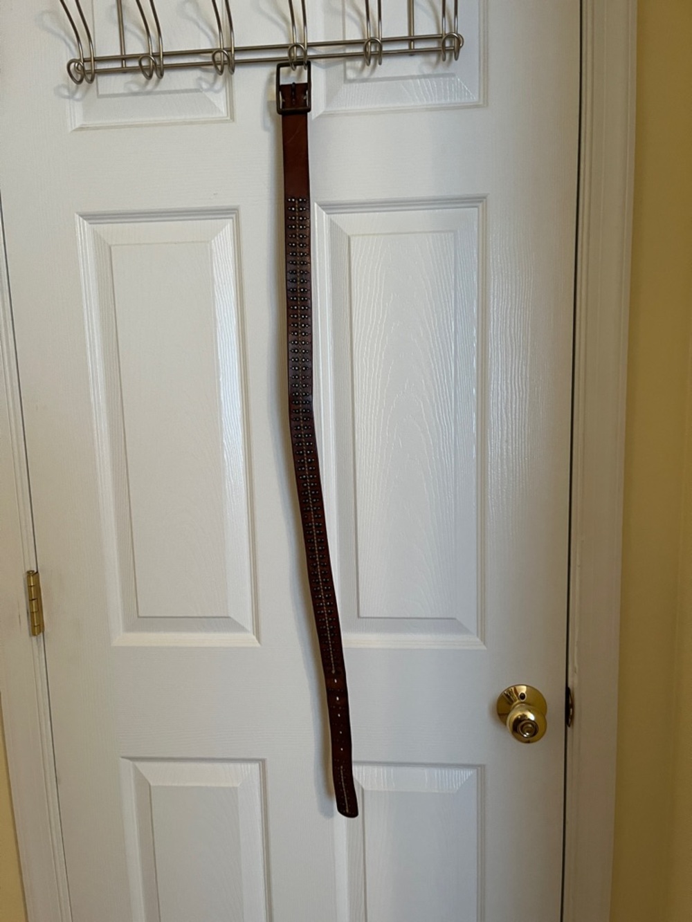Source Unknown Brown Studded Leather Belt